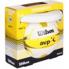 Kit Wilson AVP Ballon de volleyball + frisbee