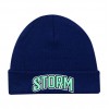 Tuque Ajm Beanie Rebord Storm