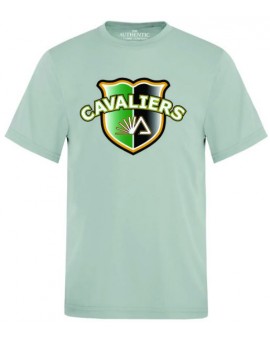 T-shirt Atc Pro Team Dryfit Cavaliers - Gris